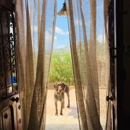 Finca Amadorio Country house Relleu